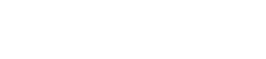 Lex Partis
